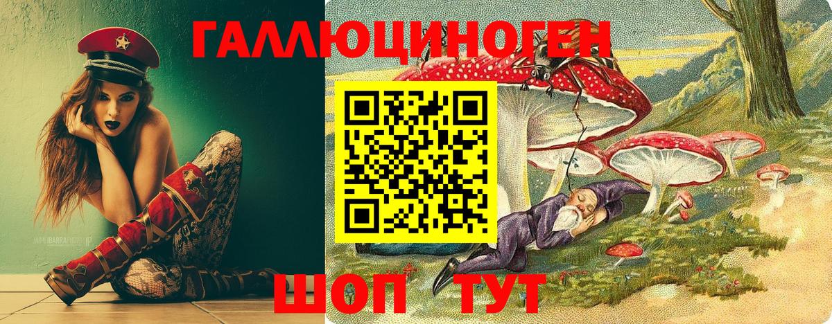 Псилоцибиновые грибы прущие грибы Гуково