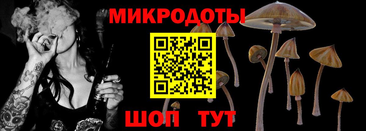 Псилоцибиновые грибы Cubensis  Вход с VPN  Гуково 